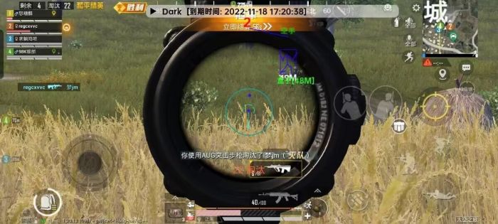 怎样打开和平精英跳伞辅助（和平精英跳伞辅助器）